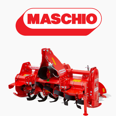 Maschio