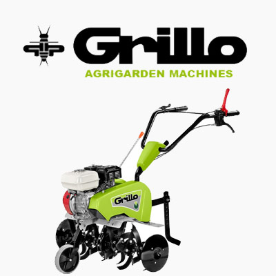 Grillo