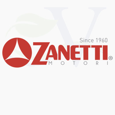 Motopompe Zanetti