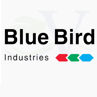 Motocarriole Blue Bird